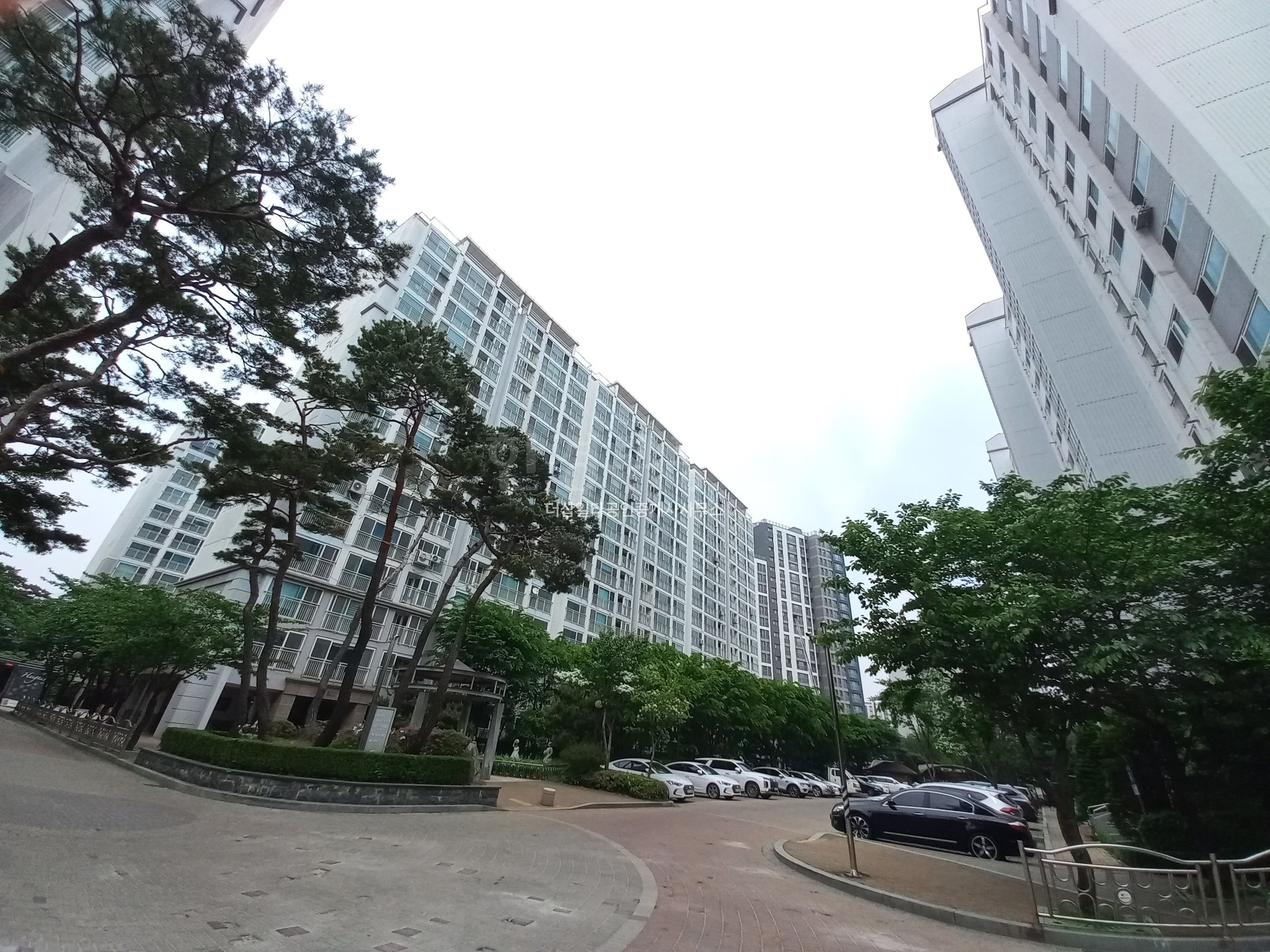 auction_picture